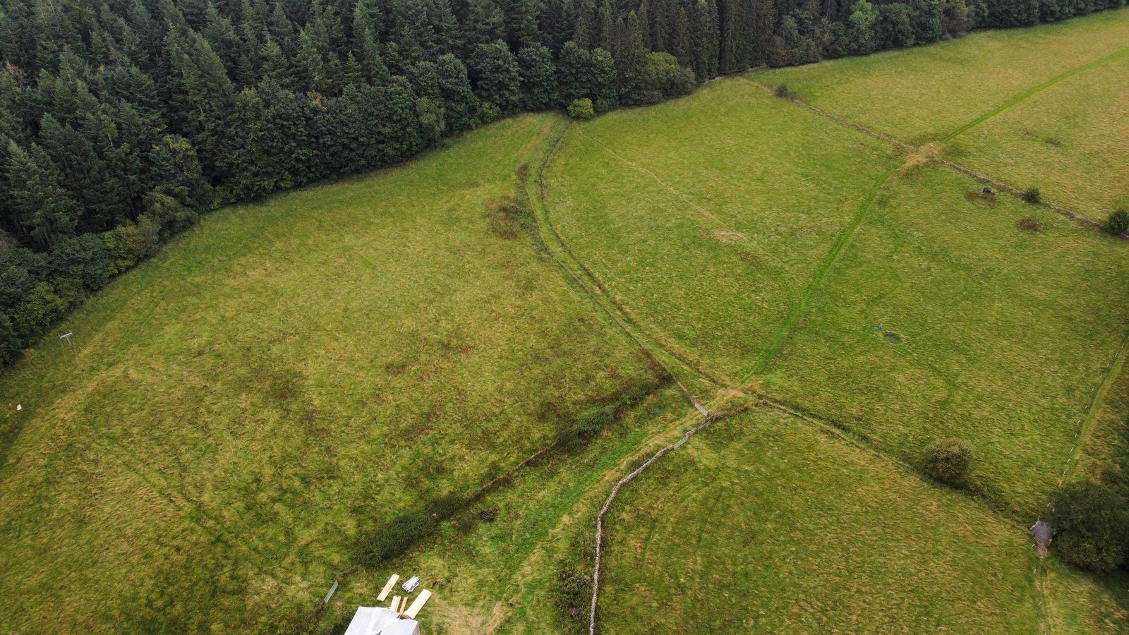 Aerial view of open moorland pasture at Hag Bank near Hexham, dry-stone walls and a sheep track cutting through the grass, woodland edge beyond.